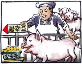 “人道屠宰”啥東東?世界動(dòng)物保護組織來(lái)給掃掃盲...